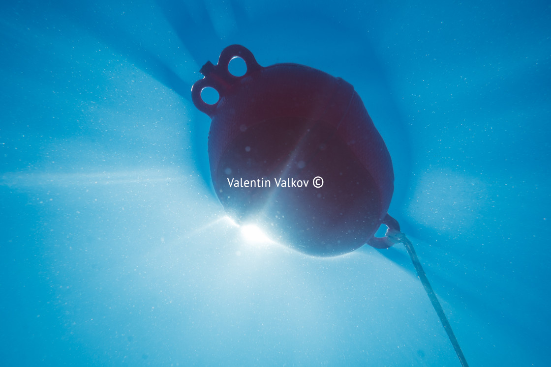 "Underwater light creates a beautiful veils, consisting of sunlig" stock image