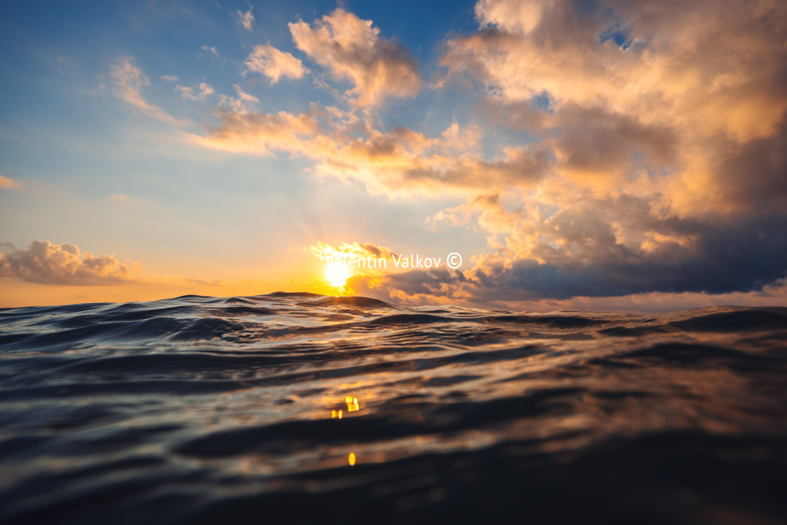 "Sea wave close up, low angle view, sunrsie shot" stock image