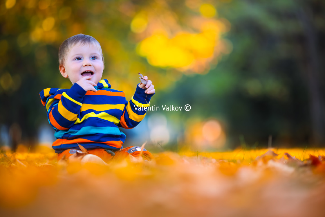 "Cute little baby boy play in autumn park with fallen leaves" stock image