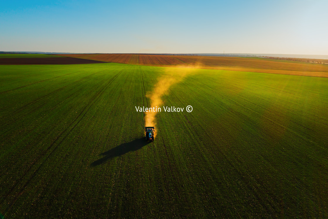 "Tractor fertilizing wheat field, aerial view, hdr nature landsca" stock image