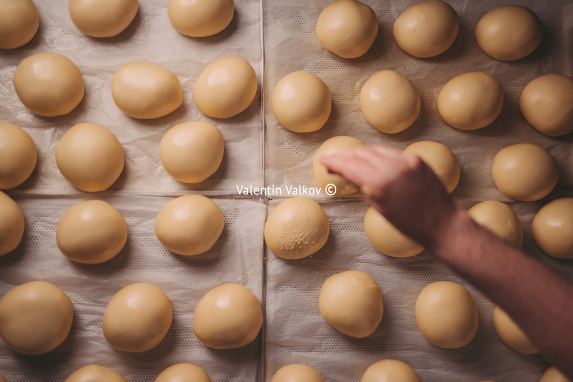 "Bread buns in a pan top view, soft dough in bakery" stock image