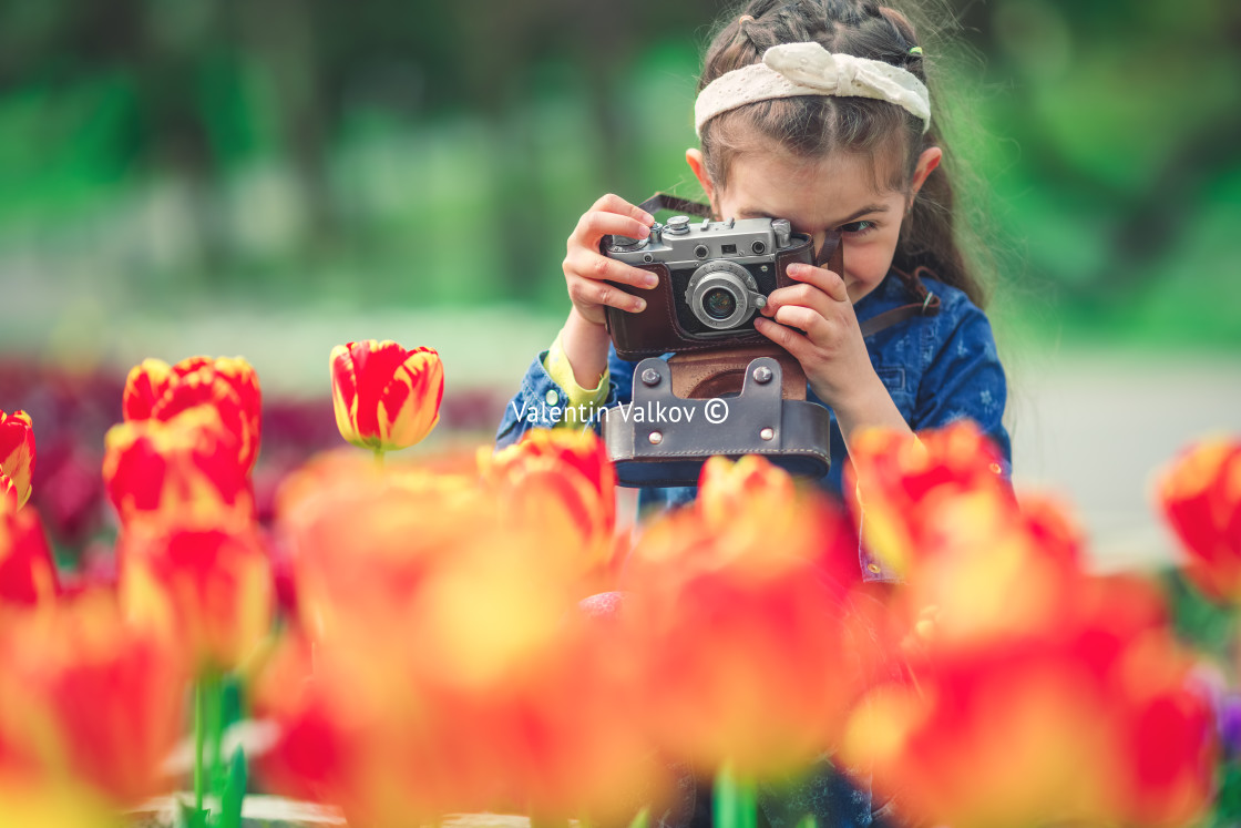 "Little girl with old vintage camera making photos of tulips in f" stock image