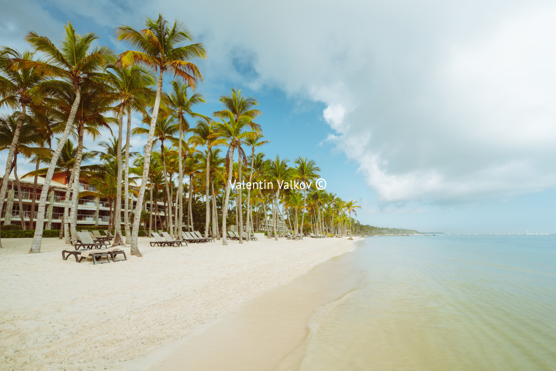 "Vintage photo of Palmtree and tropical beach" stock image