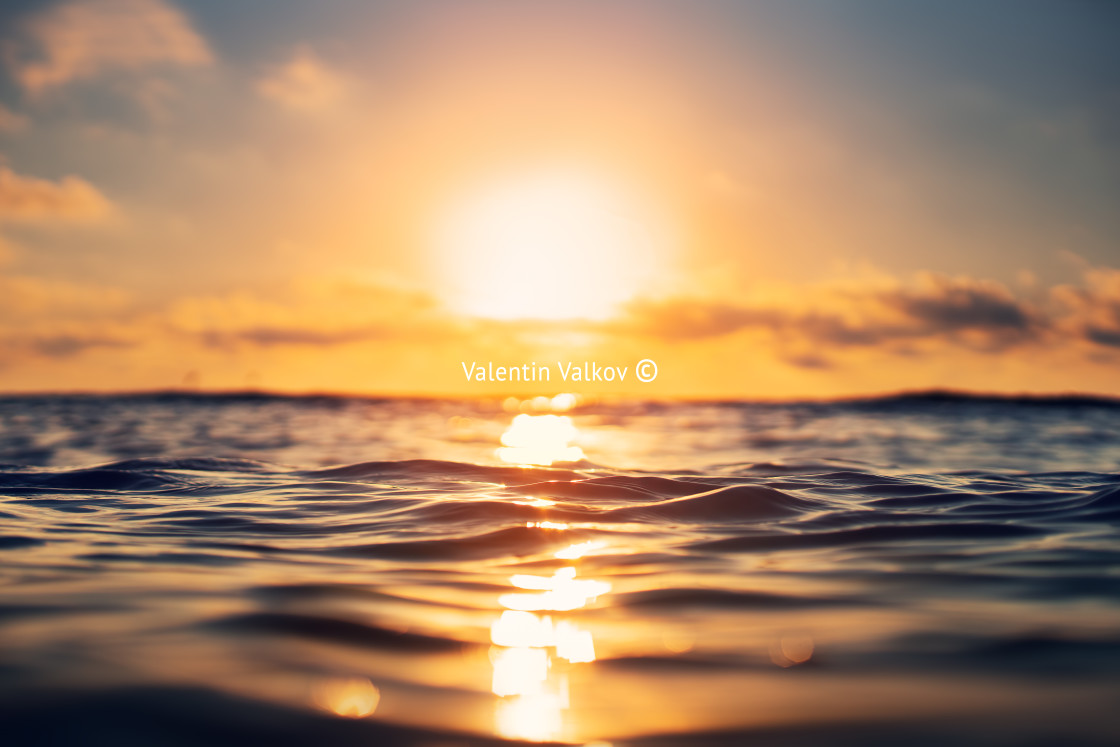 "Sea wave close up, low angle view, sunrsie shot" stock image