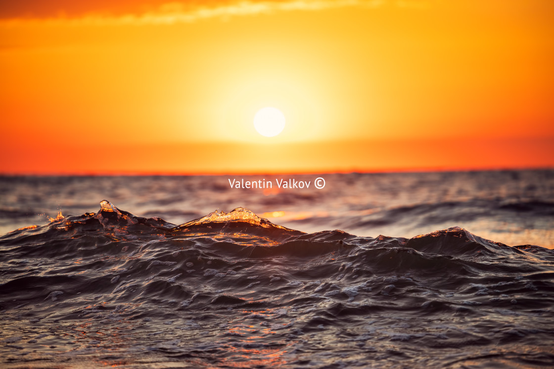 "Sea wave close up, low angle view, sunrsie shot" stock image