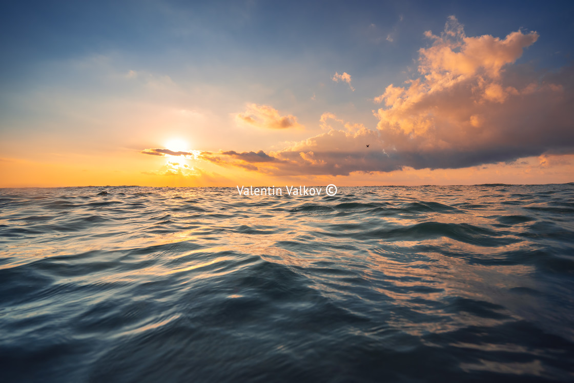 "Sea wave close up, low angle view, sunrsie shot" stock image