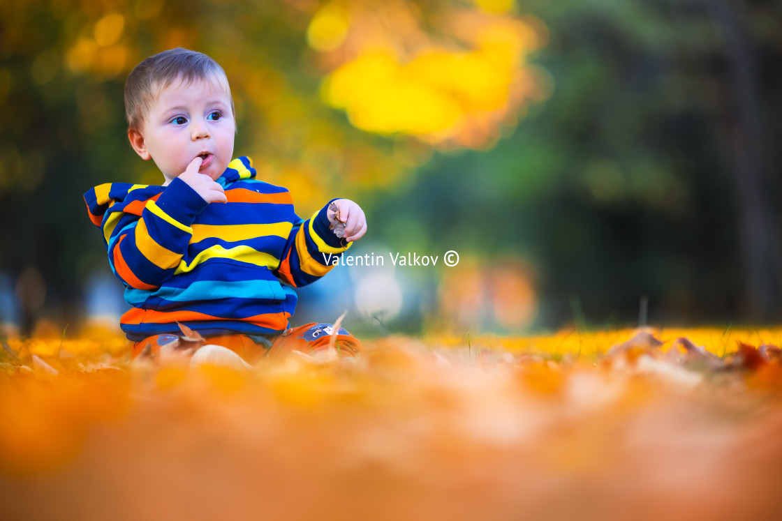 "Cute little baby boy play in autumn park with fallen leaves" stock image