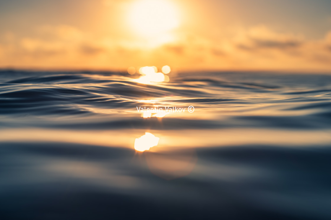 "Sea wave close up, low angle view, sunrsie shot" stock image