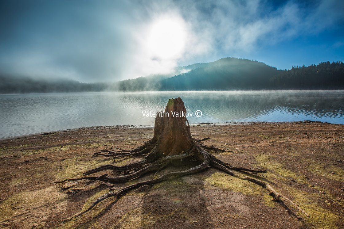 "Morning fog on the lake" stock image