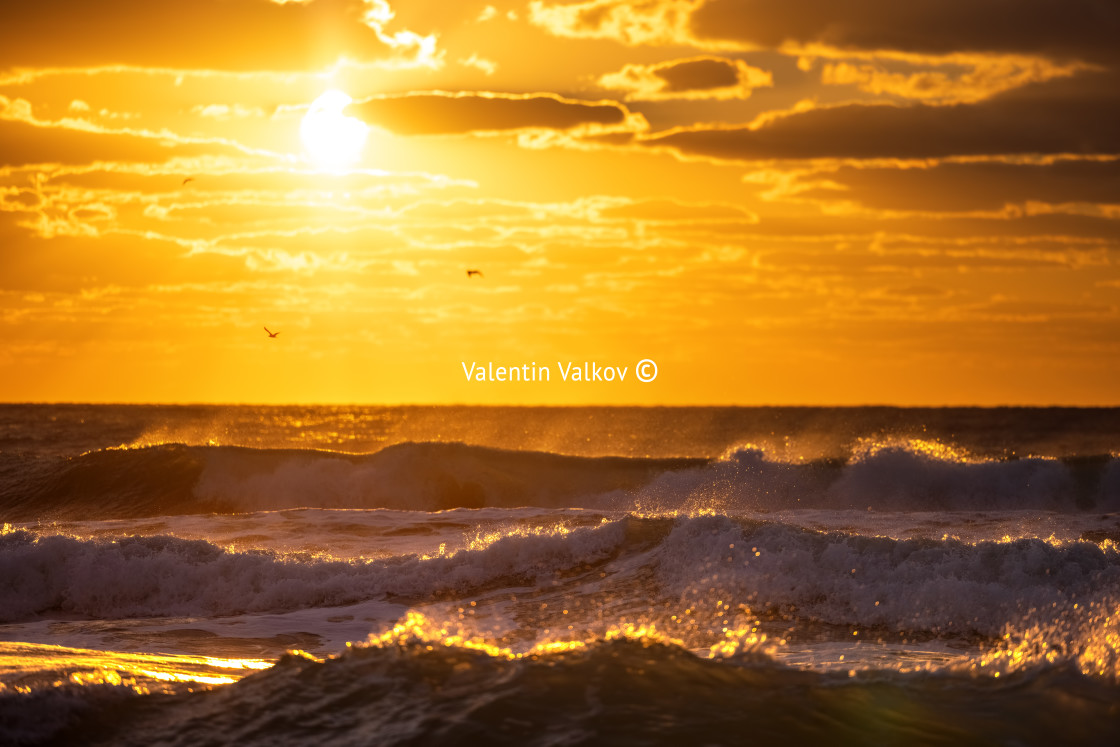 "Golden splashing waves and sunrise sea" stock image