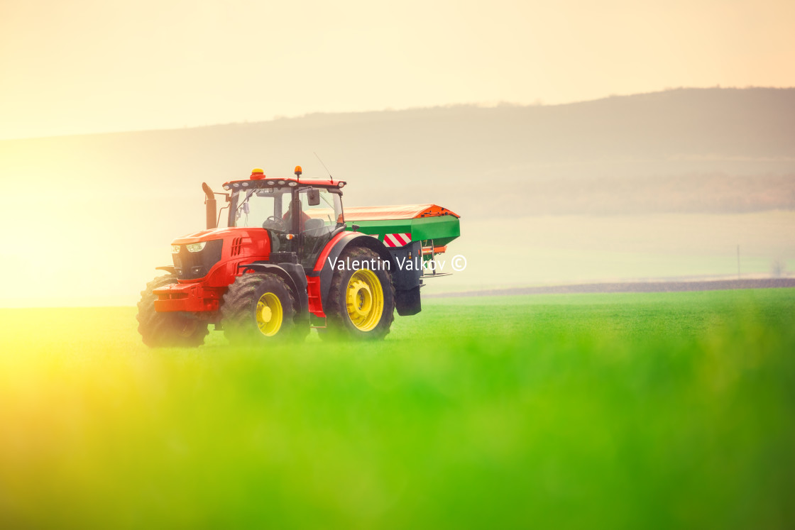 "Farmer in tractor fertilizing wheat field, hdr nature landscape" stock image