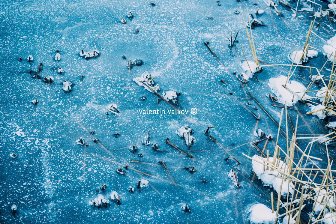 "Frozen lake with holes and trees in the water surface" stock image