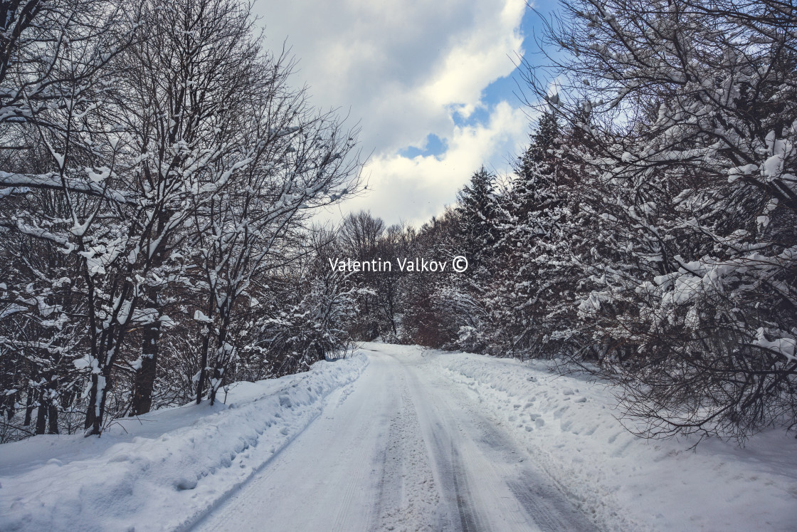 "Winter mountain road. Snow in the forest landscape" stock image