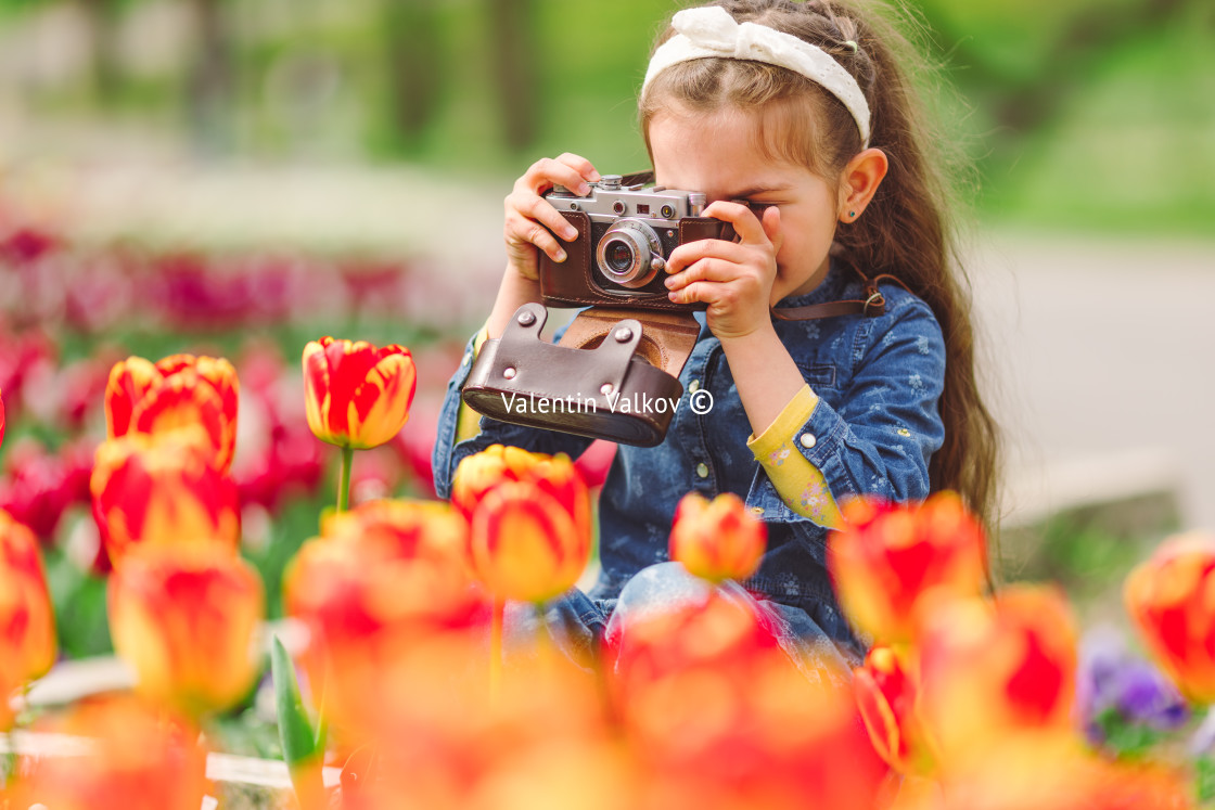 "Little girl with old vintage camera making photos of tulips in f" stock image