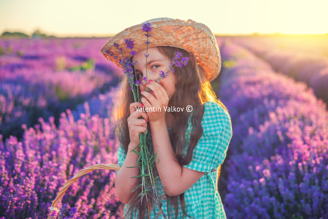 "Happy little girl with dress enjoying lavender field with bouque" stock image