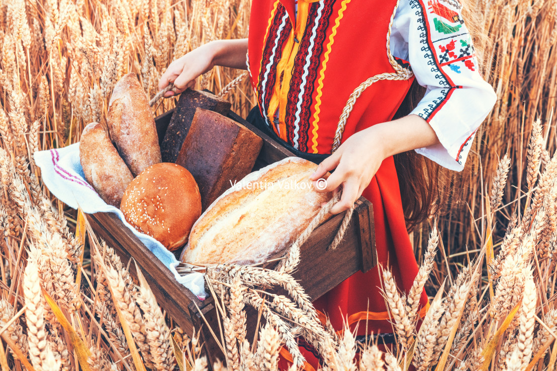 "Beautiful girl woman in traditional Bulgarian folklore dress hol" stock image