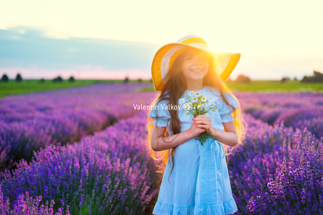 "Happy little girl with dress enjoying lavender field with bouque" stock image