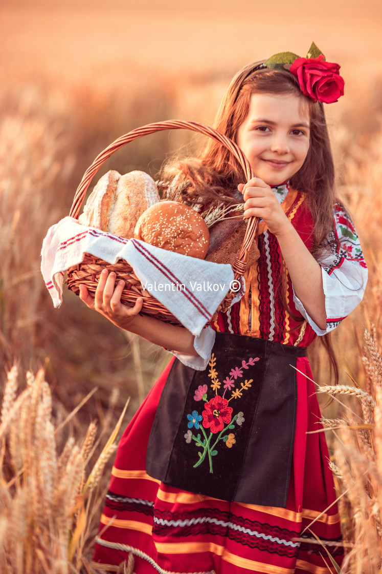 "Beautiful girl woman in traditional Bulgarian folklore dress holding wicker basket with homemade breads in wheat field" stock image