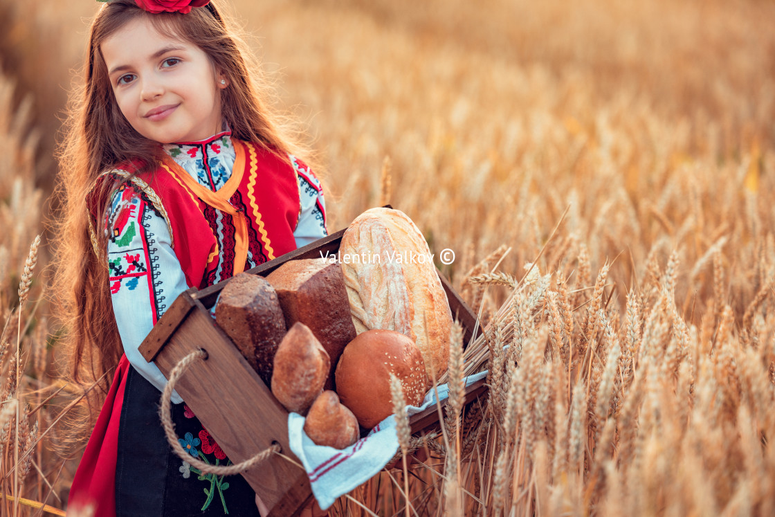 "Girl in Bulgarian folklore dress holding wicker basket with homemade bread in wheat field" stock image