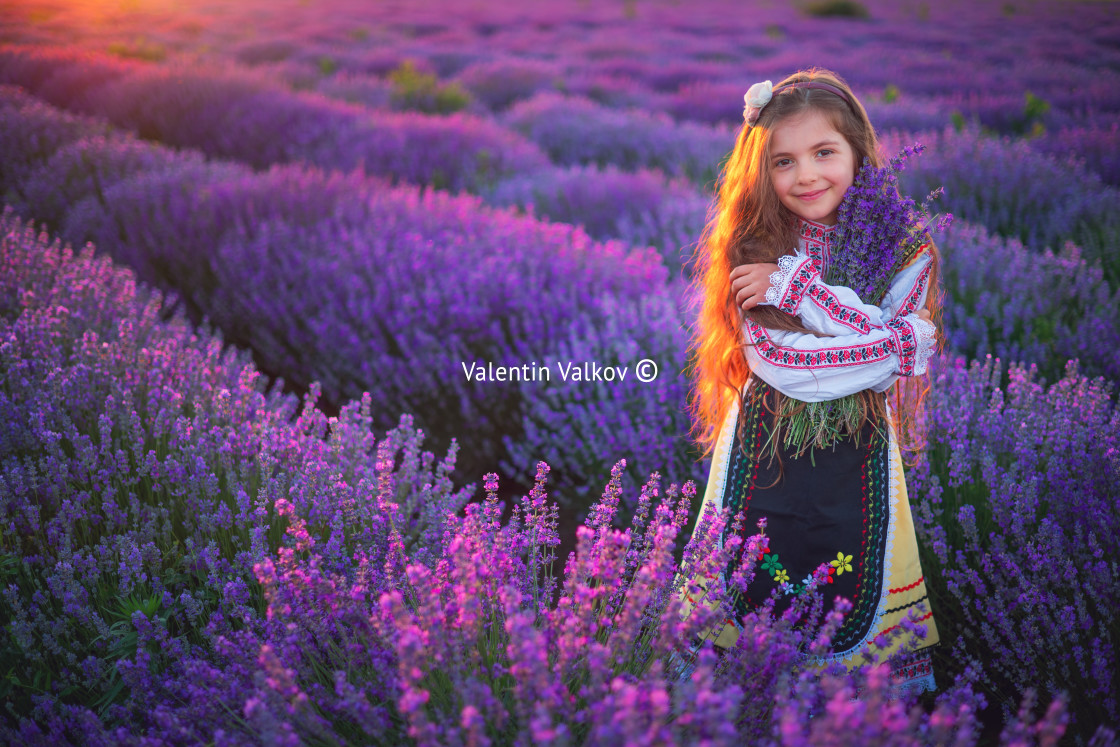 "Happy little girl with dress enjoying lavender field with bouque" stock image