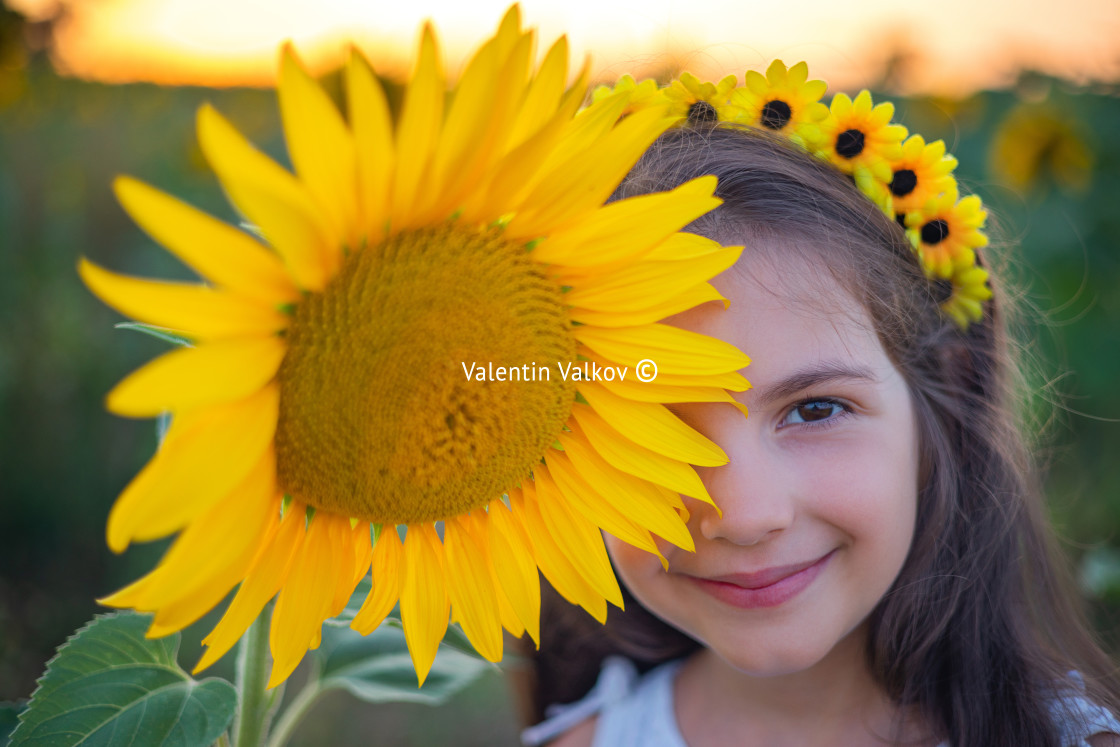 "Girl and sunflowers in sunflower field during sunset. Agricultur" stock image