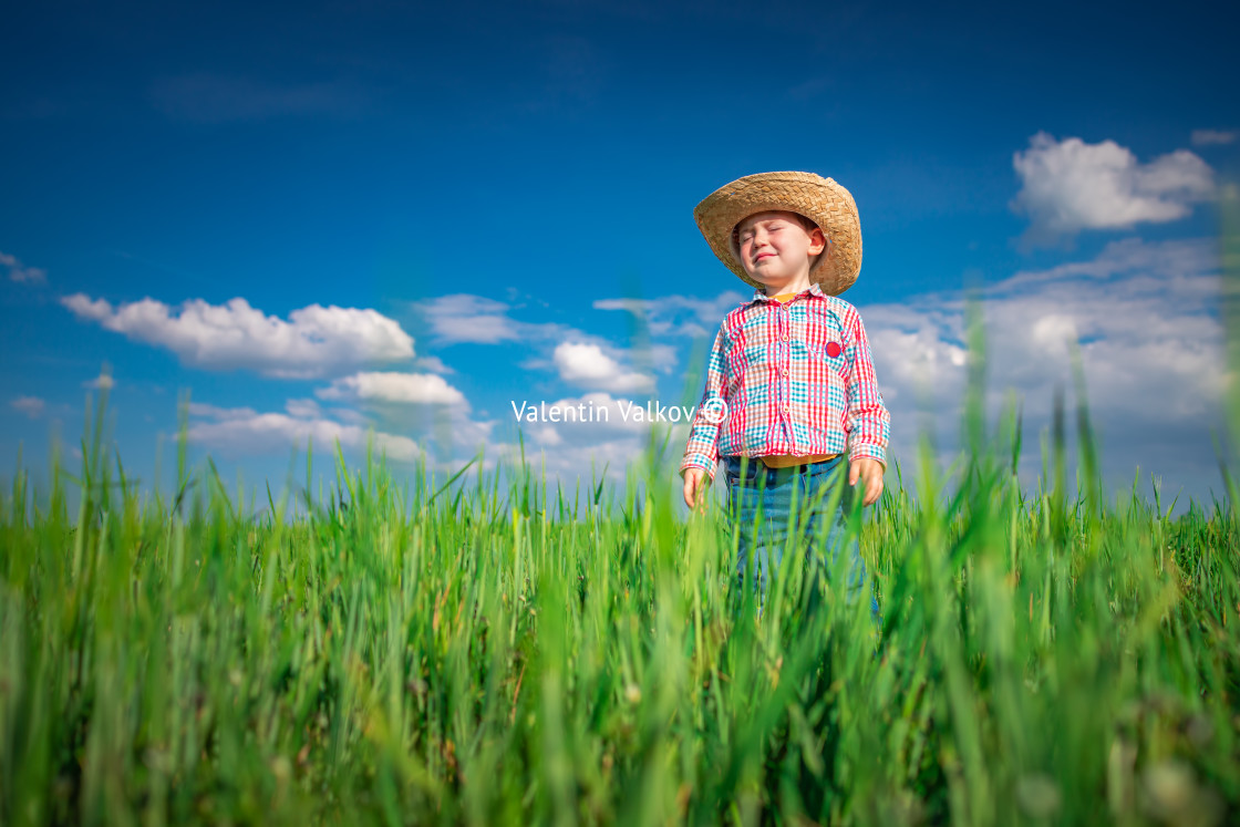 "Little farmer boy with straw hat in a green wheat field. Agricul" stock image