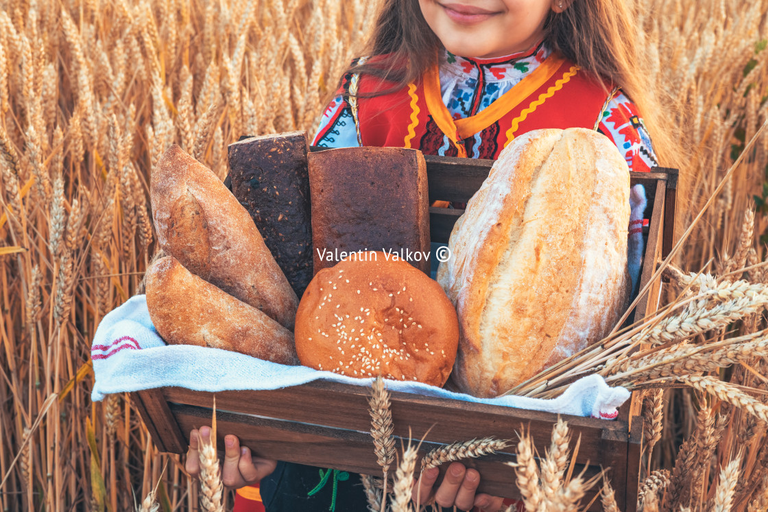 "Bulgarian woman or young girl in traditional folklore dress hol" stock image