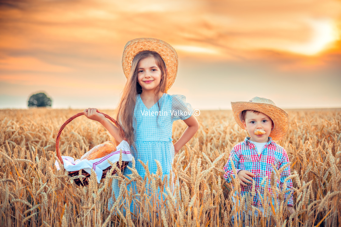 "Beautiful girl woman and boy holding homemade bread in wheat fie" stock image