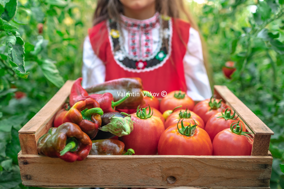 "Farmer woman, bulgarian girl in traditional Bulgarian folklore d" stock image