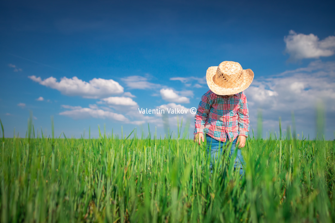 "Little farmer boy with straw hat in a green wheat field. Agricul" stock image