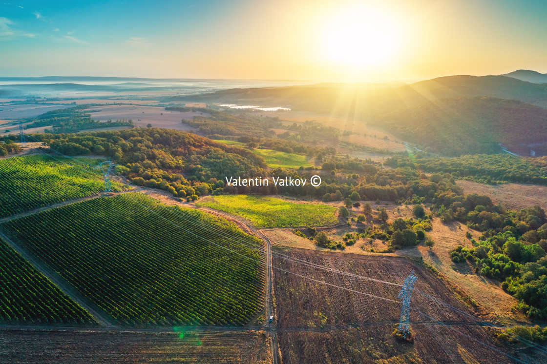 "Agricultural and vineyards field in the countryside, beautiful a" stock image