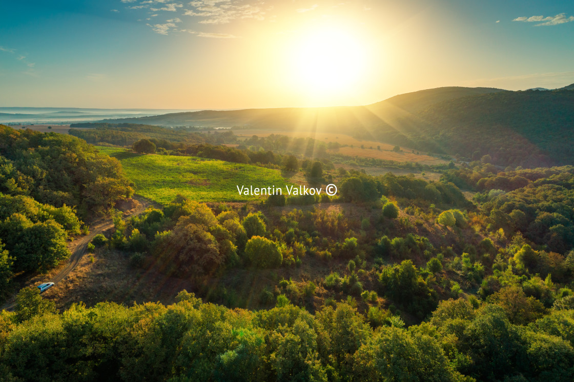 "Sunrise landscape of agricultural and vineyards field in the cou" stock image