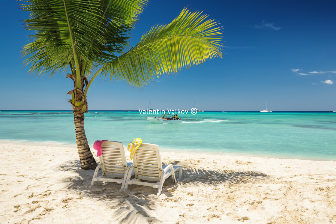 "Palmtree and tropical beach" stock image