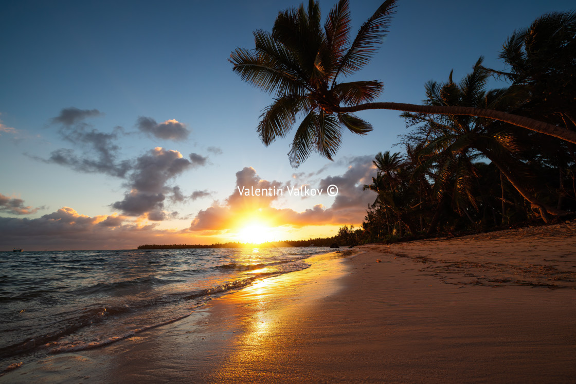 "Landscape of paradise tropical island beach" stock image