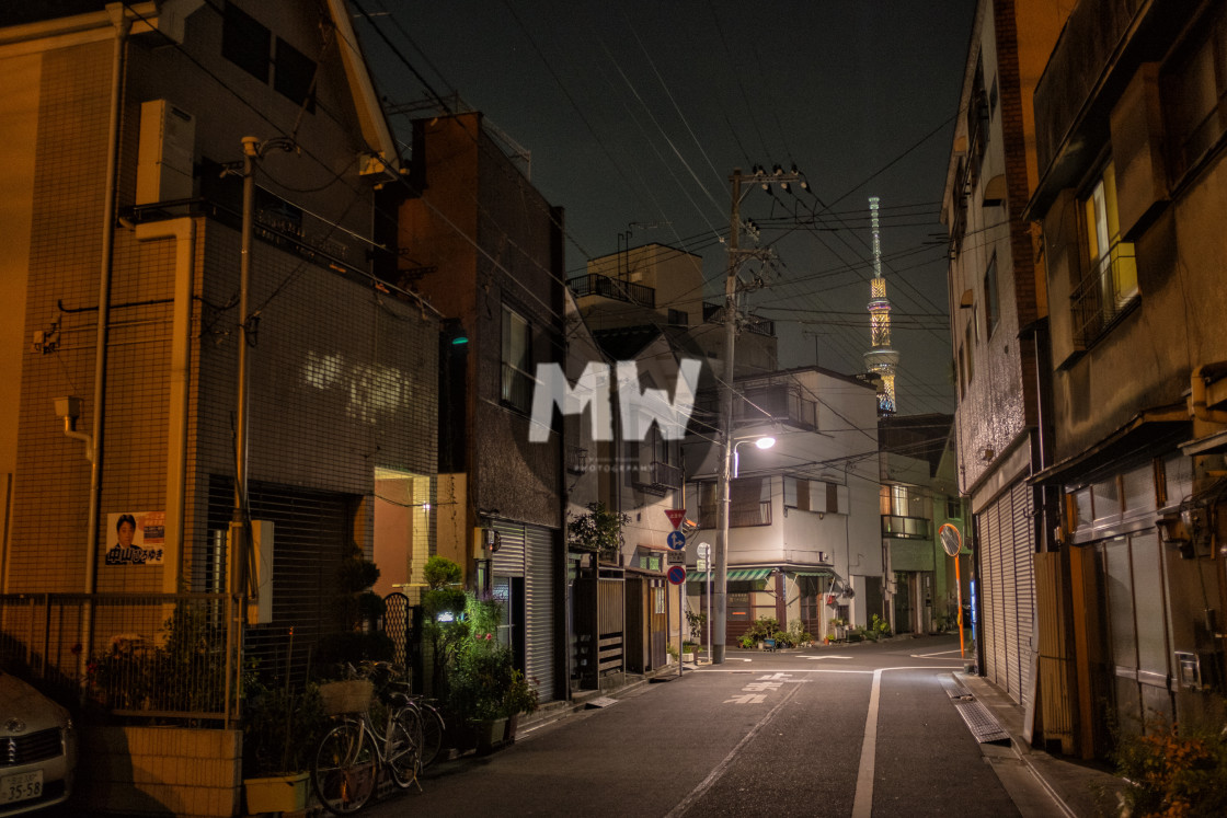 "Tokyo at Night" stock image