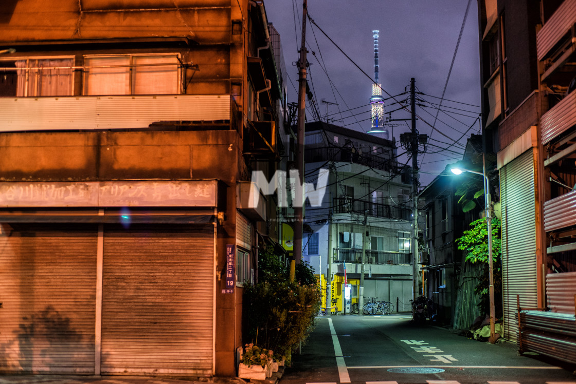 "Tokyo at Night" stock image