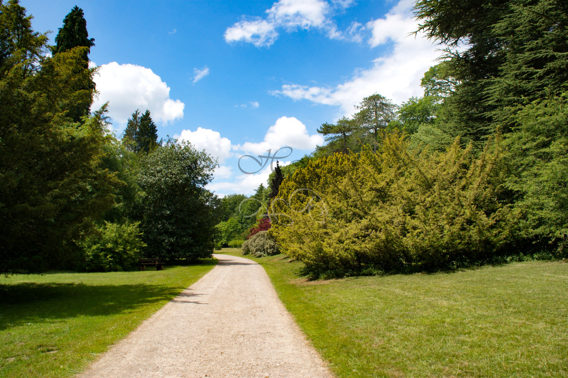 "Path through Westonbirt Arboretum" stock image