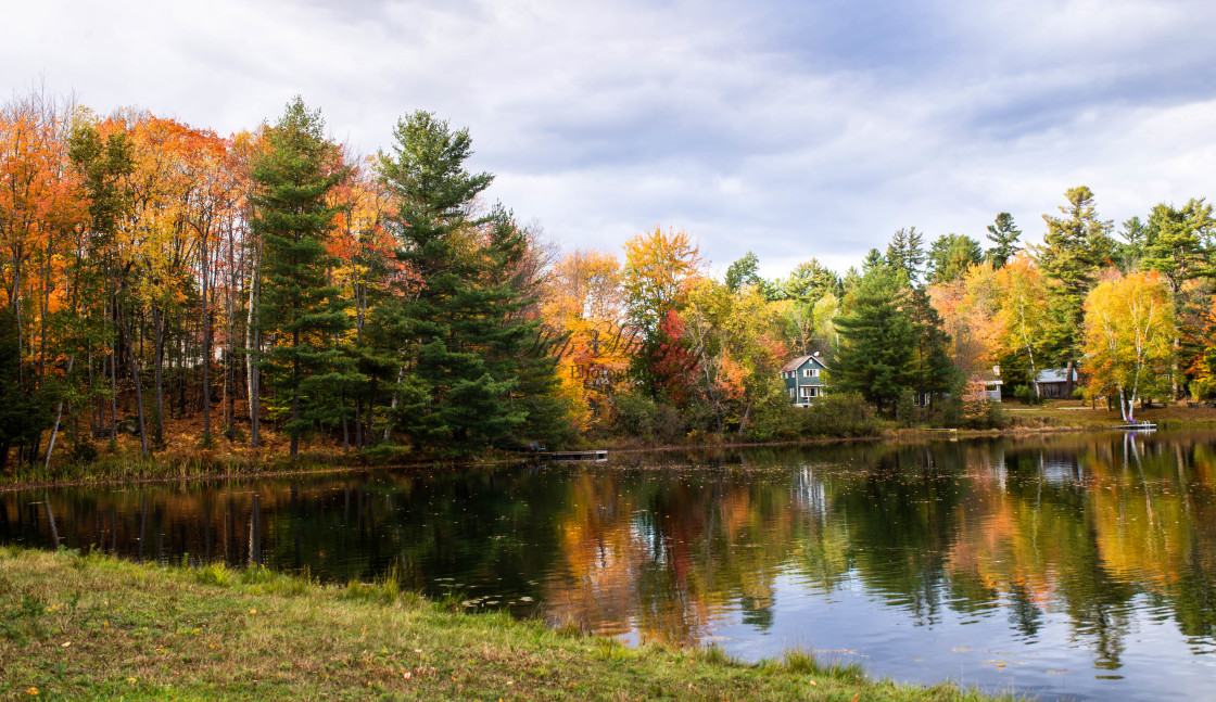 "Trees reflect in Moody Pond" stock image