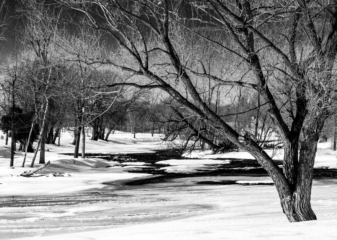 "B&W along a river" stock image