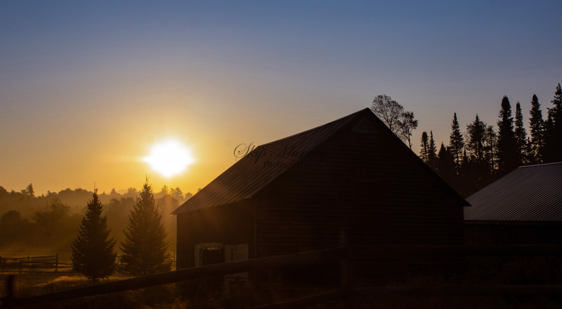 "Sunset in the mist over pines next to a barn" stock image