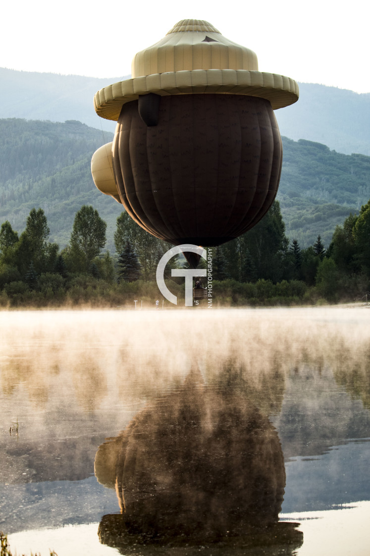 "Smokey bear checking his reflection" stock image