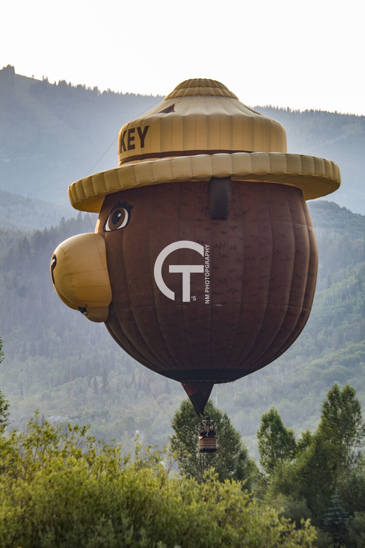 "Smokey Bear Checking for Fires" stock image