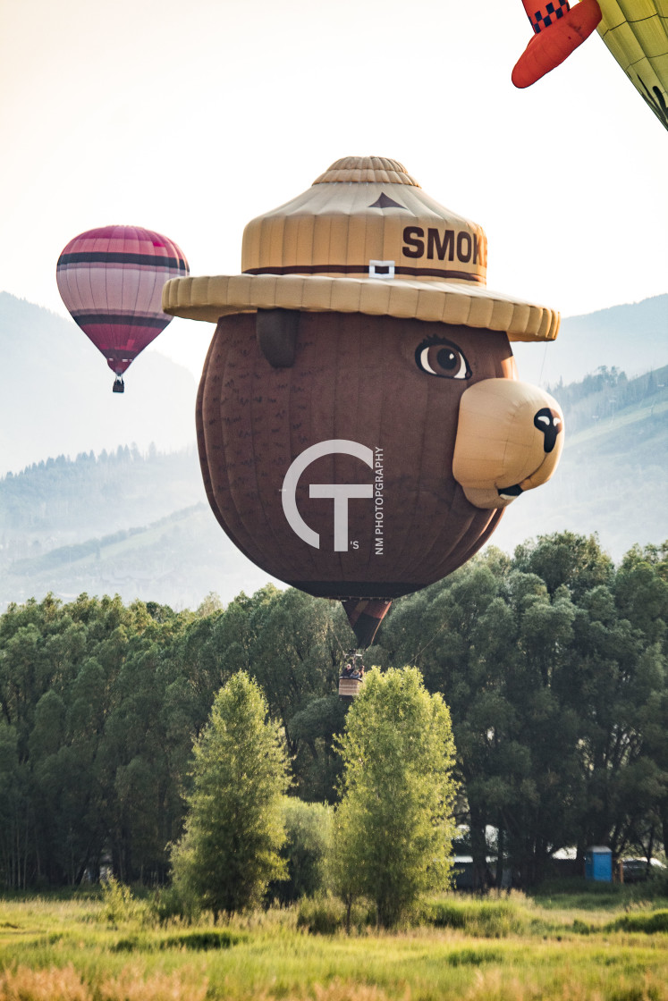 "Smokey Bear Looking for His Friends" stock image