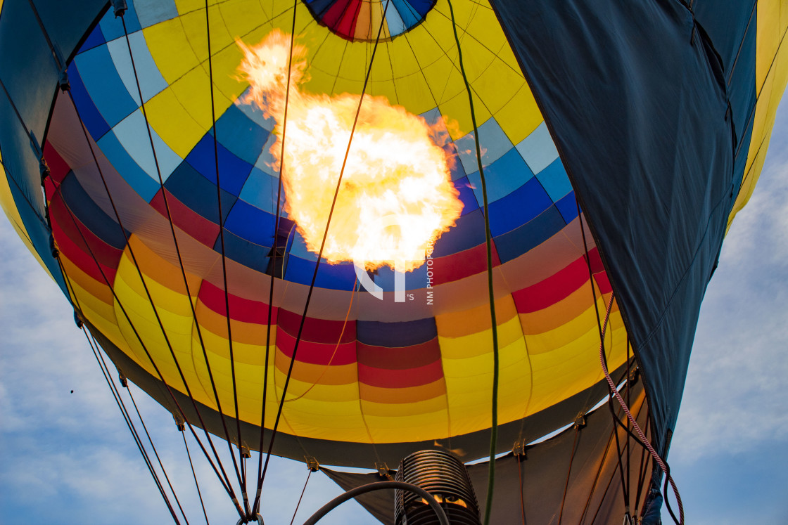 "Burst into Color" stock image