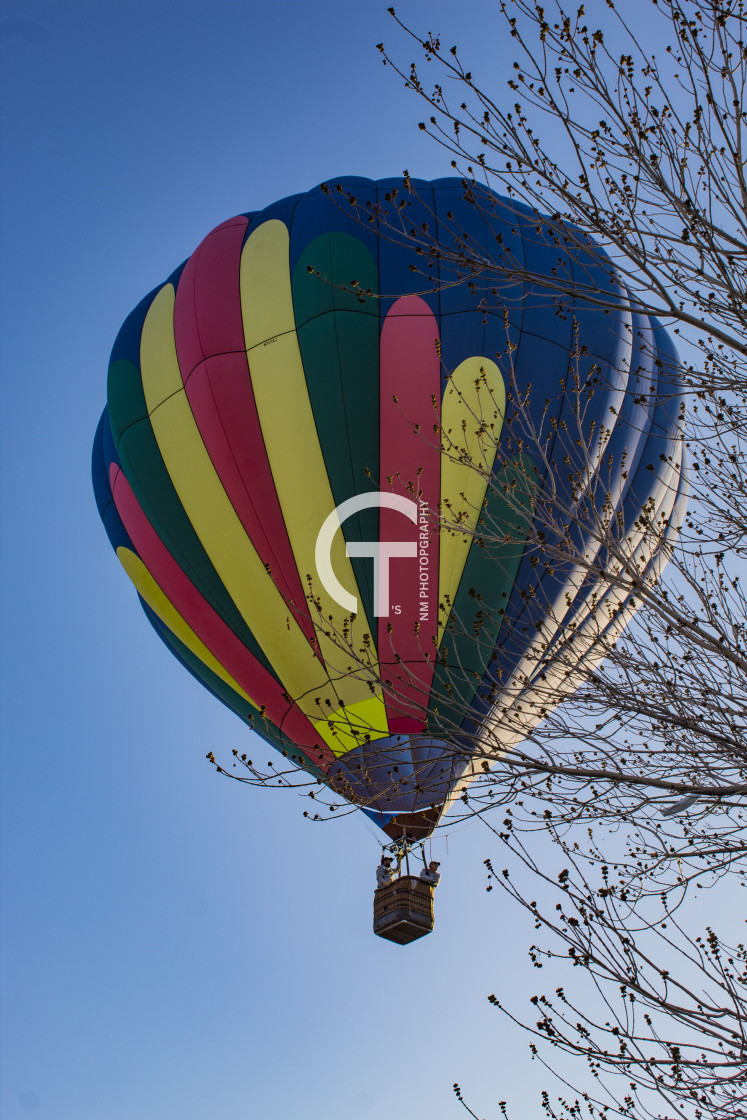 "Balloon in the trees" stock image