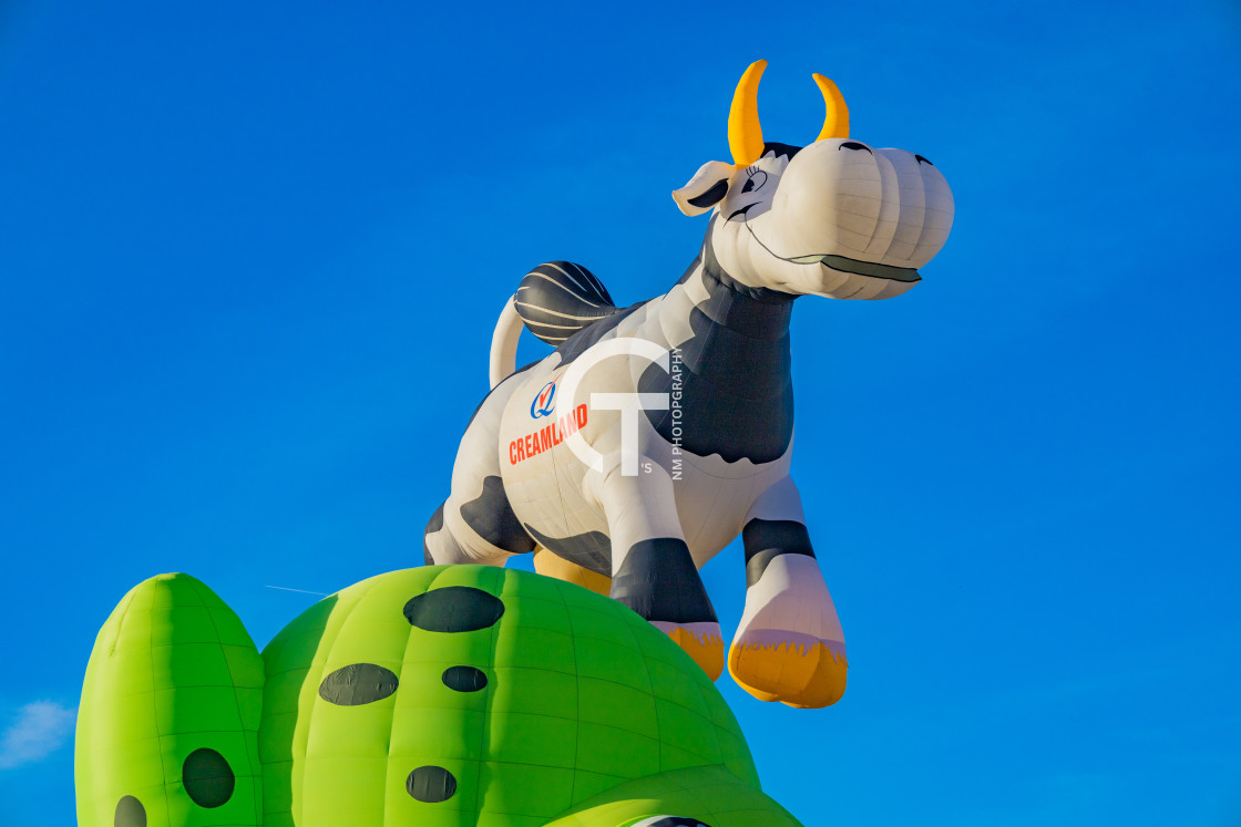 "leap frog with a cow" stock image