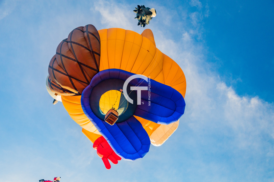 "Rising Beaver" stock image