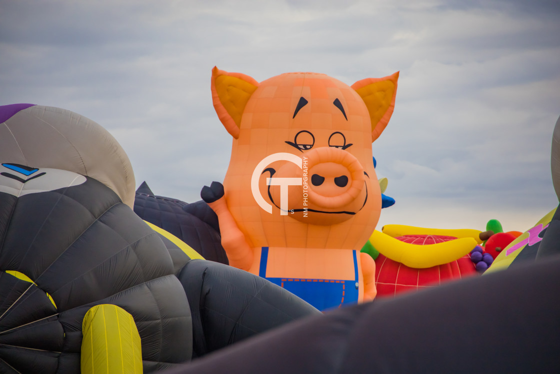 "2022 Balloon Fiesta #118" stock image