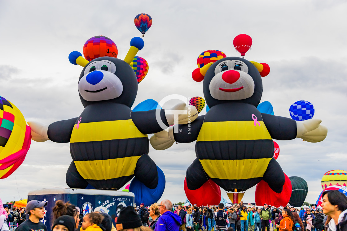 "2022 Balloon Fiesta #121" stock image