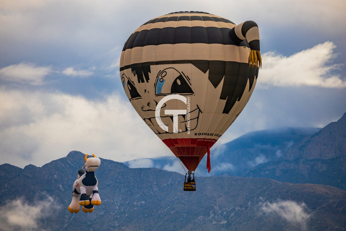 "2022 Balloon Fiesta #130" stock image